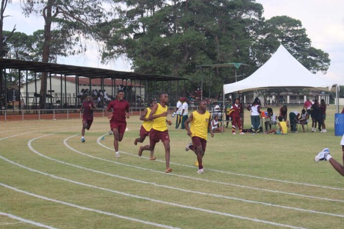 Eaglesvale School | Senior Sports